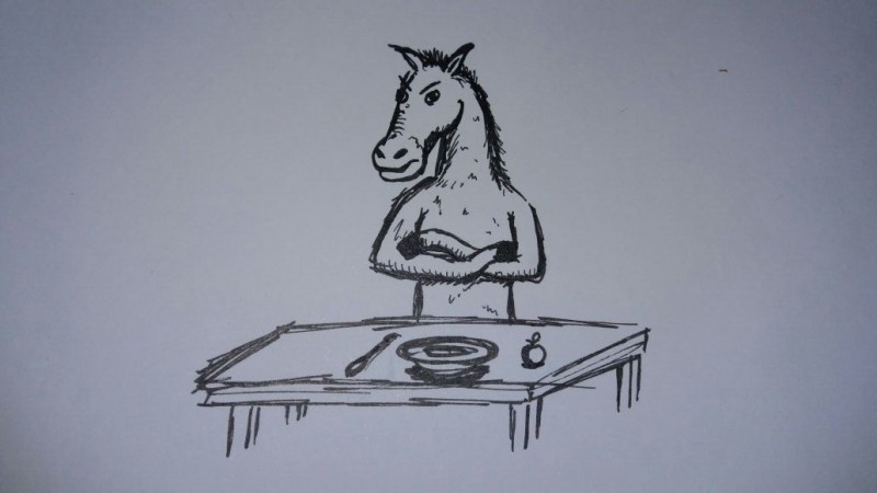 Hilfe, mein Pferd frisst das nicht!