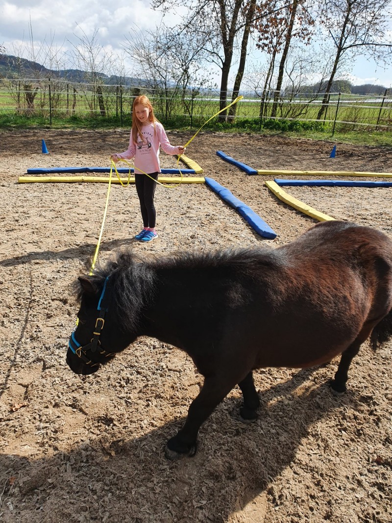 Die blau-gelbe Trainingswelt