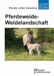 Pferdeweide - Weidelandschaft