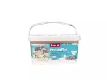 ProteinPlus